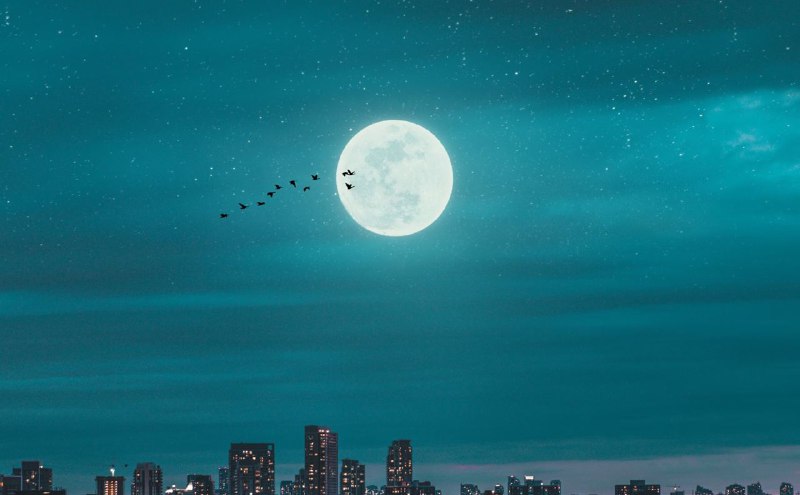 #App #iOS🤳 专为拍月亮而生的拍照 App —— moontake📱 moontake 是一款专门为拍摄月亮而创造的相机 App，通过将摄像头选取长焦镜头或广角镜头，让曝光降低到一个适合拍摄月亮的档位，锁定白平衡的色温，提供一个可以手动对焦的调节器 ，并且关闭了自带的多张合成降噪的功能，从而让你不用为 iPhone 相机各种调教来费劲