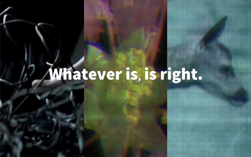 #Video #Design💁‍♂️ 第三期视频出炉了