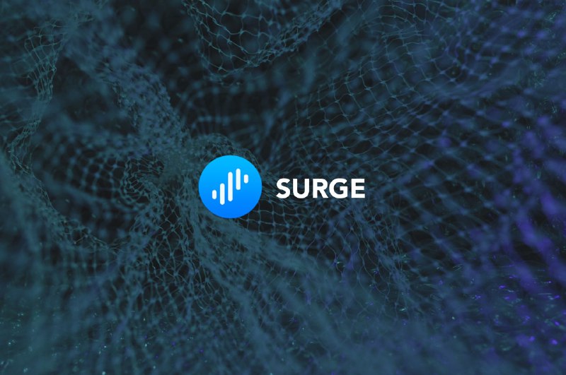 #App #Network👨🏻‍💻 近期，著名网络调试工具 Surge 的作者 @Yachen Liu 发布了《Surge 官方中文指引：理解 Surge 原理》