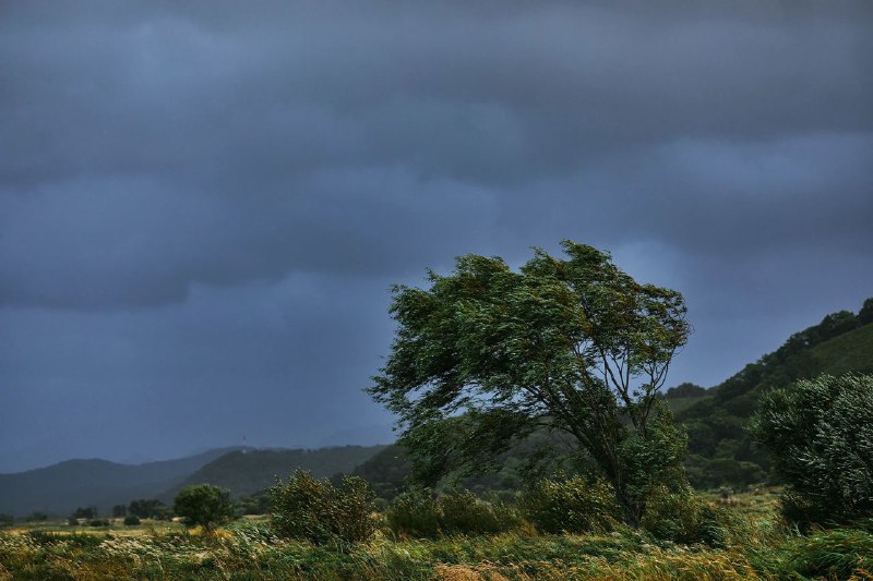 #Life #Website🌀 台风「烟花」登陆在即，各大台风预报机构对「烟花」后期路径的预测已趋于一致，预计其将于 25 日下午到夜间在浙江舟山到玉环一带沿海登陆（台风级或强台风级，12-14 级，33-42 米/秒）